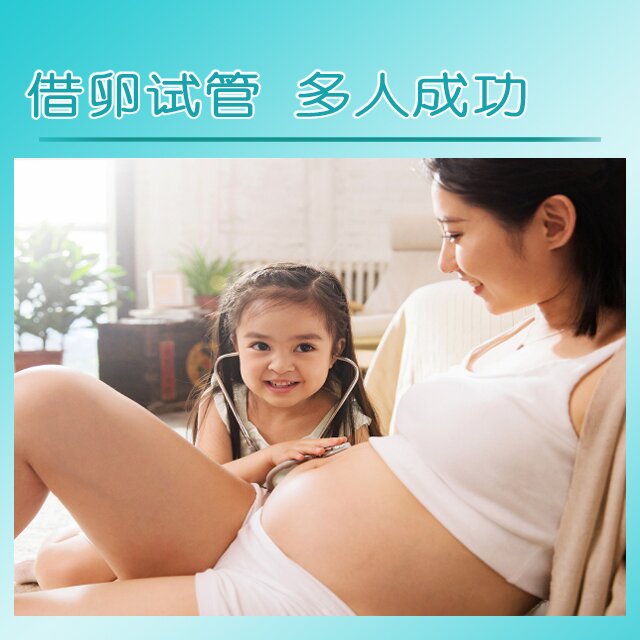 法国试管代孕