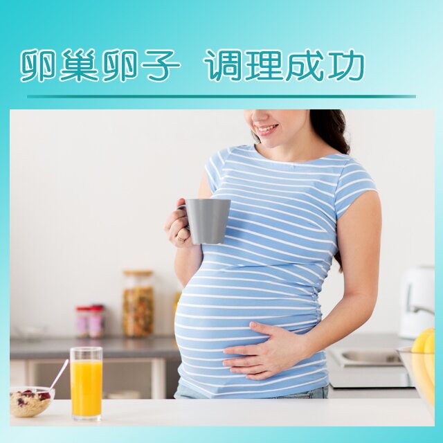 法国试管代孕