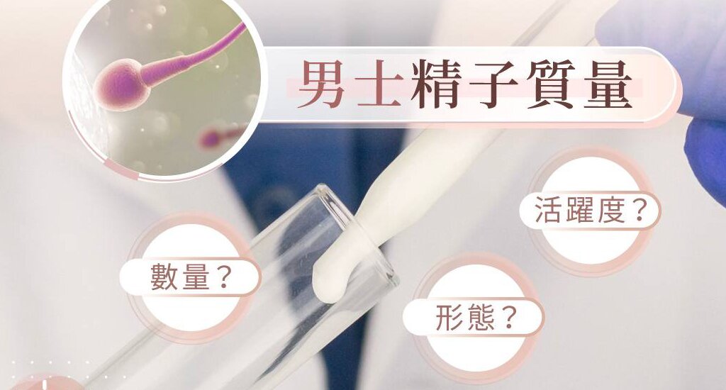 法国代孕机构：试管婴儿的实施步骤