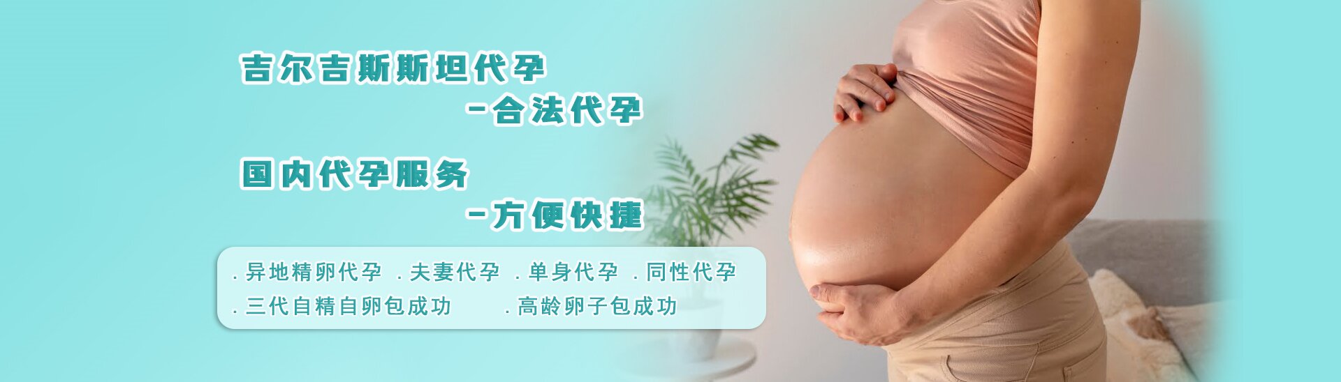 法国代孕